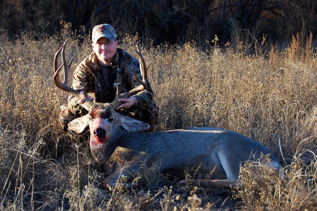 MuleDeer for web